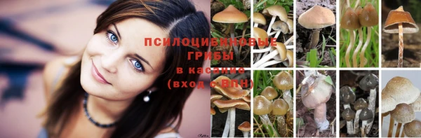 соль курить ск Армянск