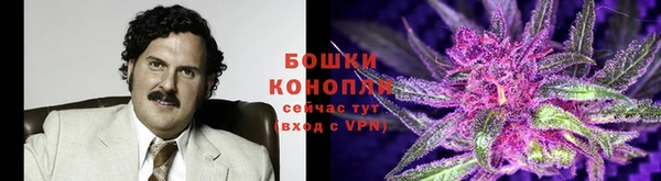 крисы Арсеньев
