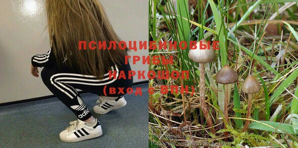 соль курить ск Армянск