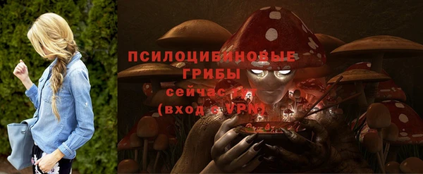крисы Арсеньев